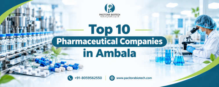 Top 10 Pharmaceutical Companies in Ambala